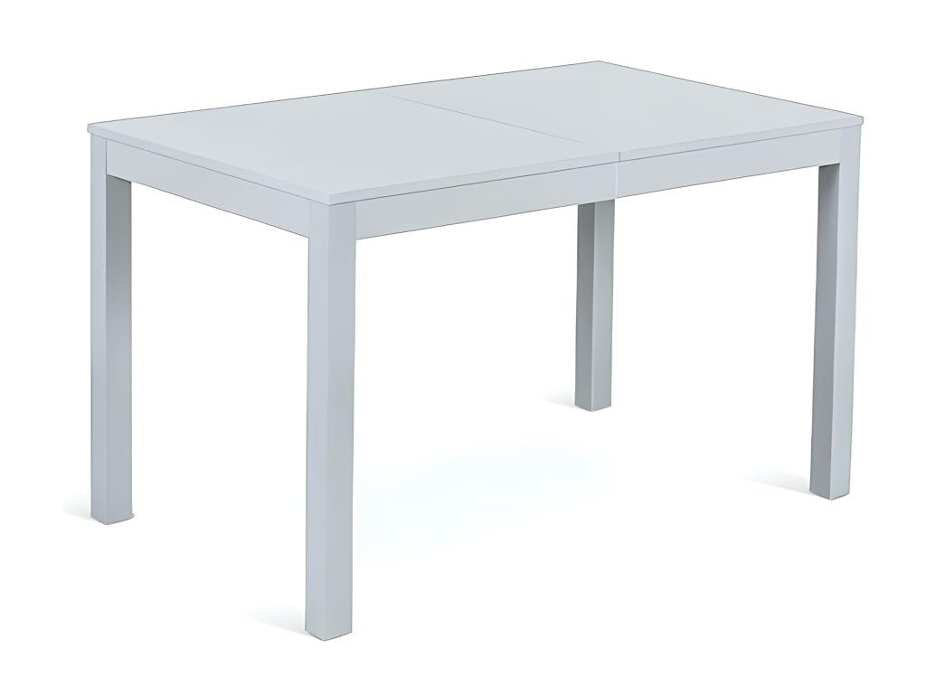 Gray Table, 210 x 80 cm
