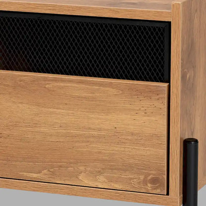 Tasman Modern & Industrial Natural Brown 2-Door TV Stand