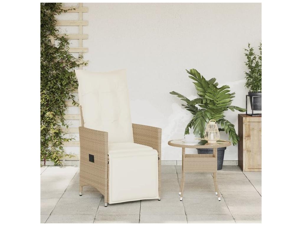 Beige Woven Resin Wicker Chair